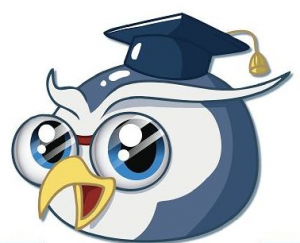 CyberHoot