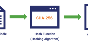 hash value cybrary