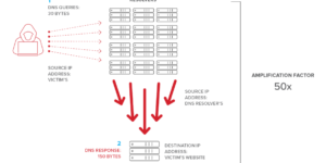 dns reflection attack