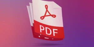 pdf file
