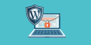 wordpress risks