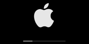apple advisory