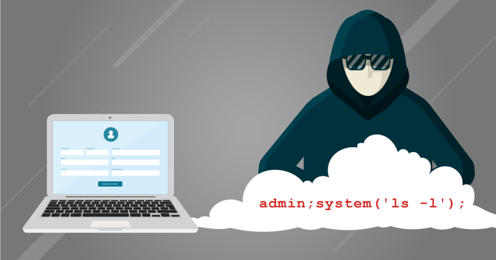 input validation cybrary