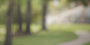 Social Networking in your Neighborhood