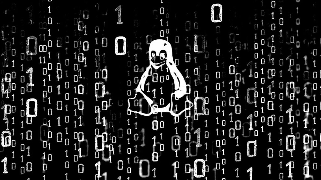 linux bug advisory