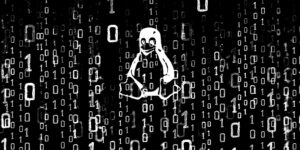 linux bug advisory