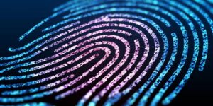 fingerprint cyber cybrary