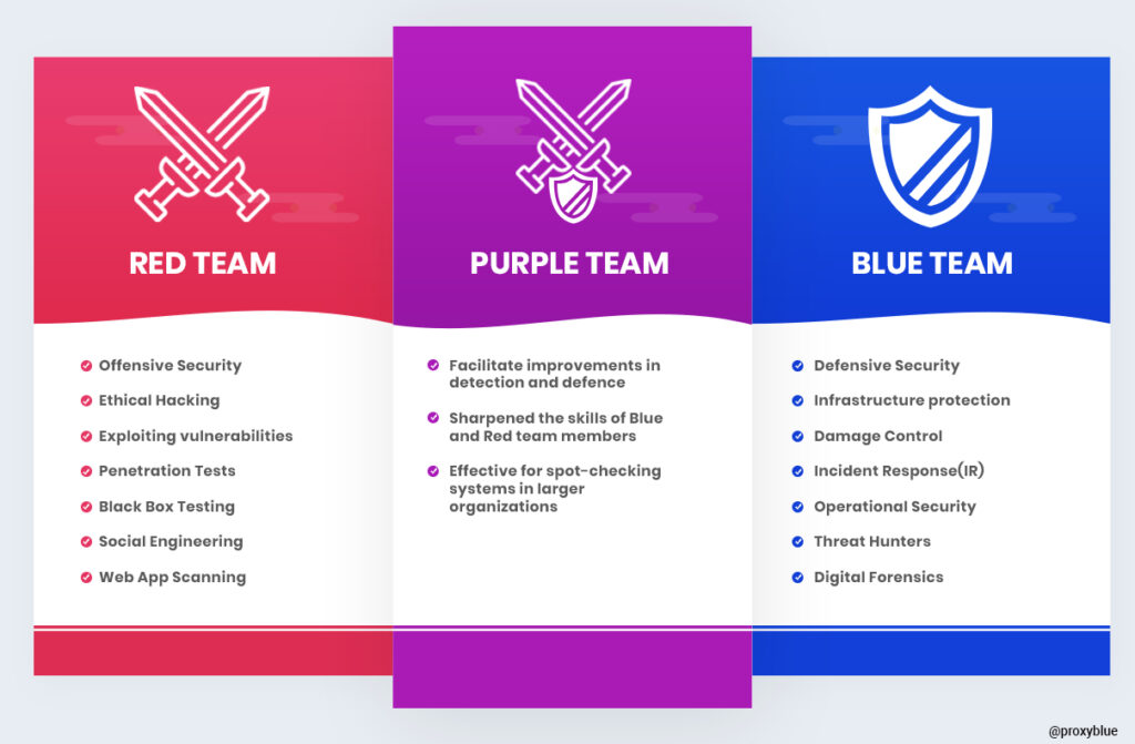 Red Purple and Blue Team Exercise Goals