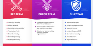 Red Purple and Blue Team Exercise Goals