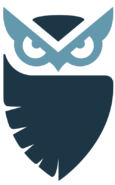 Owl Only Transparent CyberHoot